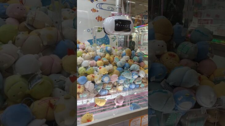 #クレーンゲーム#クレンゲーム#ゲーセン#ゲームセンター#UFOキャッチャー#すみっコ#すみっコぐらし#キャラクター#ゲーム#キャラ#景品#景品GET#GET#get#ゲット