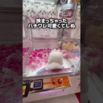 【奇跡】激カワ！ハチワレちゃんが挟まっちゃった！！！【クレーンゲーム】【UFOキャッチャー】【ゲーセン攻略】【ぬいぐるみ/ちいかわ】#clawmachine #ちいかわ #japan #shorts