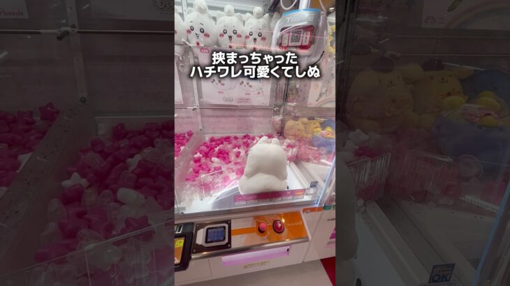 【奇跡】激カワ！ハチワレちゃんが挟まっちゃった！！！【クレーンゲーム】【UFOキャッチャー】【ゲーセン攻略】【ぬいぐるみ/ちいかわ】#clawmachine #ちいかわ #japan #shorts
