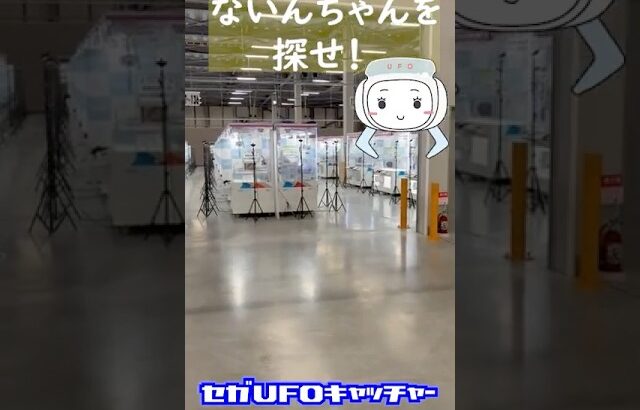 ちょいホラー？ないんちゃんを探せ！【セガUFOキャッチャーオンライン】#shrots