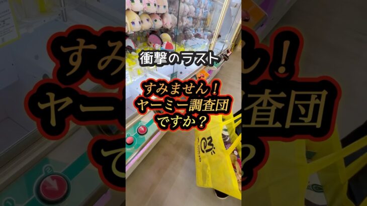 他のYouTuberみたくやりたかった、、#クレーンゲーム#UFOキャッチャー#ゲームセンター#ゲーセン#クレーンゲーム攻略