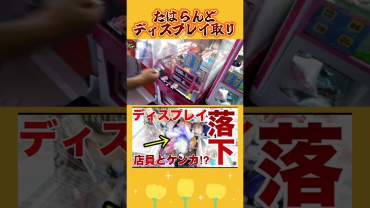 【攻略】 たはらんどでディスプレイ取り#clawmachine #japaneseclawmachine #ufoキャッチャー #クレーンゲーム #日本夾娃娃