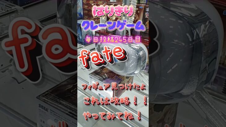 【はりきりクレーンゲーム】fateのフィギュア取ったよ。取り方説明入り。#クレーンゲーム #ゲームセンター #ゲーセン #ufoキャッチャー #橋渡し #フィギュア #fate #攻略