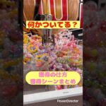 プレゼントgetの方法！確実に取るシーン！　#X #ラウンドワン  #クレーンゲーム  #バズ  #sholt  #10円キャッチャー  #攻略  #モーリーファンタジー　#倉庫　#お菓子　#チョコ