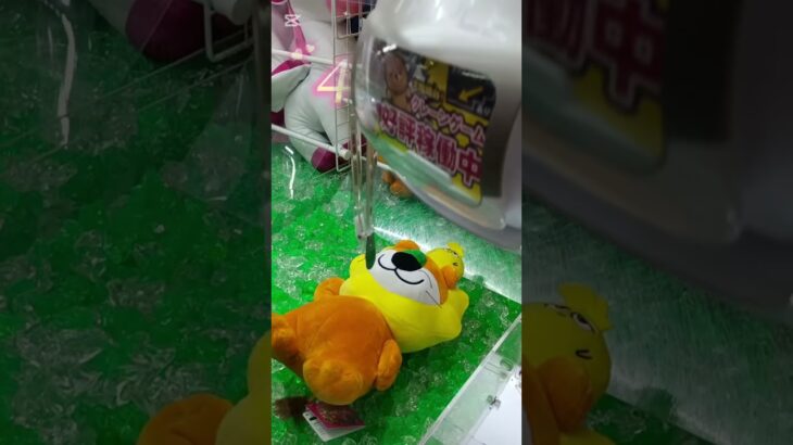 【速報クレーンゲーム】たべっこどうぶつmovieらいおんくん攻略法👈　　#たべっ子どうぶつ映画#らいおんくん#ぬいぐるみ新作#予告#グッズ#クレーンゲームコツ#攻略法#歌#UFOキャッチャー