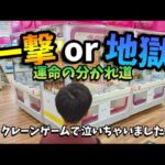 【クレーンゲーム】一発or大沼!?少年が超優良ゲーセンで遊んだらヤバいことになりました【ufoキャッチャー 回遊館】
