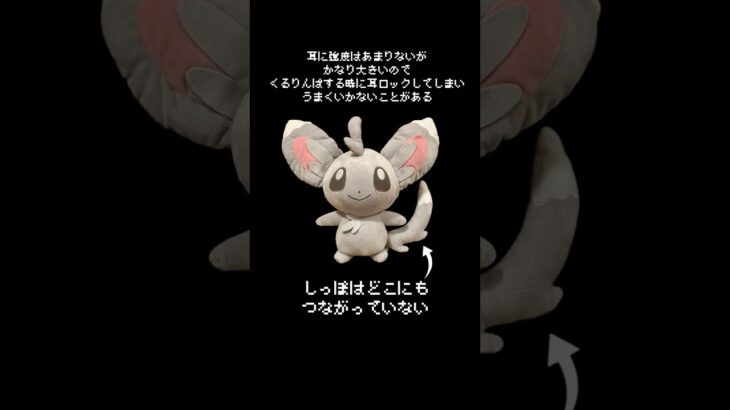 【！速報！】最新チラーミィの情報！！　#ポケモン#pokemon #ポケットモンスター #クレーンゲーム#ぬいぐるみ