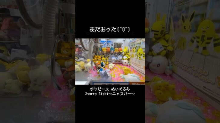 【ミラクル】ポケピースニャスパーの珍事件！　#ポケモン#pokemon #ポケットモンスター #クレーンゲーム#ぬいぐるみ