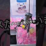 ミスったー‼️って思ったら😆 #クレーンゲーム #クレーンゲーム景品 #ゲームセンター #クレーンゲーム攻略 #グミッツェル #shorts #ミニグミッツェル