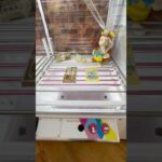 究極の選択！あなたはどっちを選びますか？ #shorts #クレーンゲーム #ufoキャッチャー #宝くじ