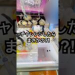 【奇跡】チャレンジしたらまさかの⁈ #shorts #クレーンゲーム #ちいかわ #クレーンゲーム攻略 #ufoキャッチャー