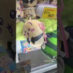 上手く取れたシーンまとめてみたけど、何回見ても気持ちいいな😂 #shorts  #クレーンゲーム #ufoキャッチャー#ゲーセン #ゲームセンター  #arcade #clawmachine