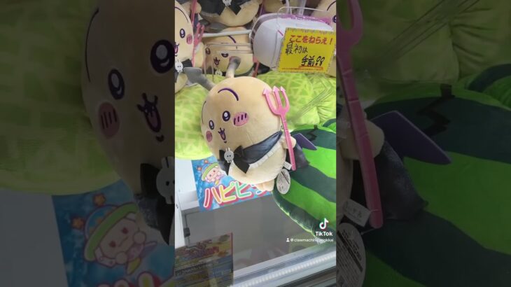 上手く取れたシーンまとめてみたけど、何回見ても気持ちいいな😂 #shorts  #クレーンゲーム #ufoキャッチャー#ゲーセン #ゲームセンター  #arcade #clawmachine
