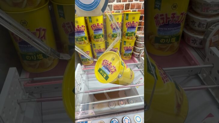 ダメ！絶対！ヤメないで！ #shorts #クレーンゲーム #ufoキャッチャー #cranegame