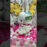 クレーンゲームいろいろ取れない〜攻略法が知りたい〜#shorts#クレーンゲーム#ufoキャッチャー#ゲーセン#ゲームセンター#ゲーム#んぽちゃむ#ピーチ姫