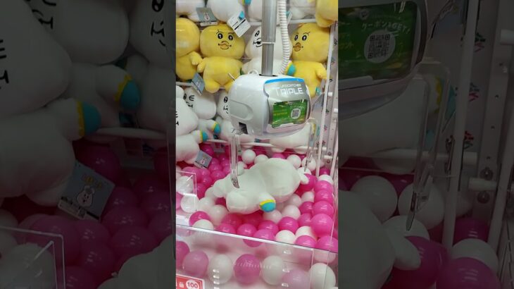 クレーンゲームいろいろ取れない〜攻略法が知りたい〜#shorts#クレーンゲーム#ufoキャッチャー#ゲーセン#ゲームセンター#ゲーム#んぽちゃむ#ピーチ姫