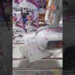 【デカい/重い】新劇場版魔法少女まどか #クレーンゲーム #プライズ獲得 #ゲームセンター #ufoキャッチャー #アニメ #ゲーセン #フィギュア #倉庫系 #映画