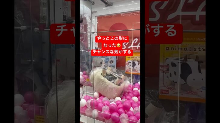 #クレーンゲーム #ゲームセンター #ufoキャッチャー #攻略