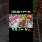 【クレーンゲーム】回遊館さんのフックも攻略🤩 #クレーンゲーム #クレゲ #ゲームセンター #ゲーセン #ufoキャッチャー #ゲーセン #回遊館  #回遊館長浜  #こびとづかん