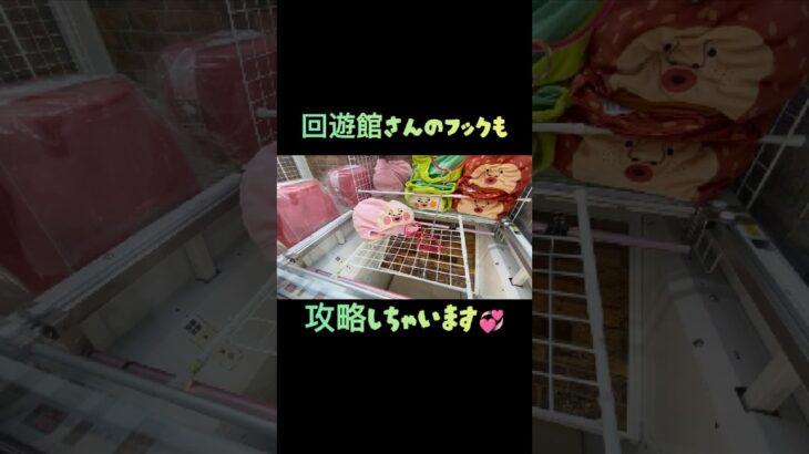 【クレーンゲーム】回遊館さんのフックも攻略🤩 #クレーンゲーム #クレゲ #ゲームセンター #ゲーセン #ufoキャッチャー #ゲーセン #回遊館  #回遊館長浜  #こびとづかん