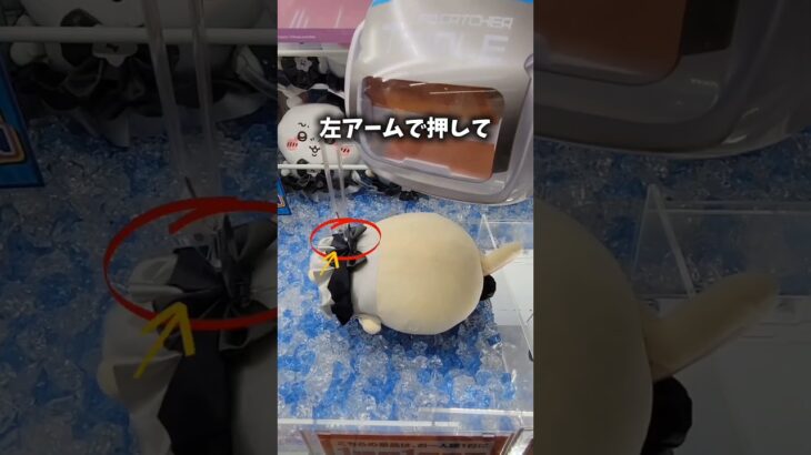 ぬいぐるみ取るならこの技　#クレーンゲーム #クレーンゲーム攻略 #ちいかわ #ハチワレ #ちいかわうさぎ #ufoキャッチャー #ラウンドワン