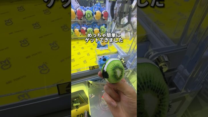 【お店大赤字】クレーンゲームのプロの技　#クレーンゲーム #ゲームセンター #ufoキャッチャー #攻略 #スンスン