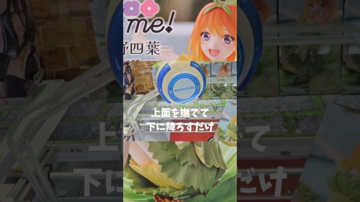 【誰でも出来るクレーンゲーム簡単攻略動画✨】横向きで挟まったら？アームを箱の上からなぞるだけ😄#クレーンゲーム #ufoキャッチャー #回遊館岐阜 #回遊館 #初音ミク#五等分の花嫁#中野四葉