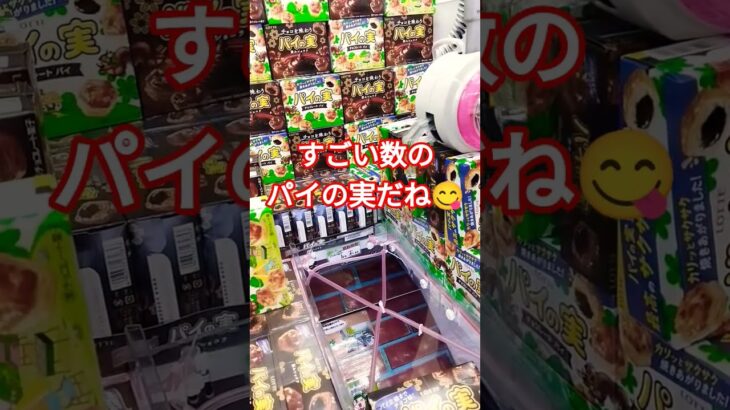 パイの実の壁見つけた🤭 #クレーンゲーム景品 #ゲームセンター #クレーンゲーム #クレーンゲーム攻略 #ミニクレーンゲーム #ufoキャッチャー #パイの実 #ショート