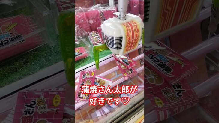蒲焼さん太郎最近食べてないよ😄 #クレーンゲーム景品 #ゲームセンター #クレーンゲーム #クレーンゲーム攻略 #ミニクレーンゲーム #ufoキャッチャー #蒲焼さん太郎 #ショート