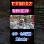 クレーンゲーム攻略簡単取り方説明します♪ #クレーンゲーム #アミューズメント限定 #クレーンゲームの沼さん #ゲームセンター #プライズ獲得 #ufoキャッチャー #ゲーセン #お菓子 #攻略