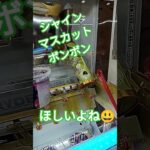 シャインマスカットボンボン食べたいよ😍 #ゲームセンター #クレーンゲーム景品 #クレーンゲーム #クレーンゲーム攻略 #ゲーセン #ufoキャッチャー #シャインマスカットボンボン