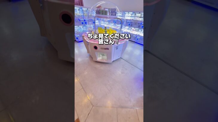 ゴールデンウィークに見た事ない台発見したから攻略する#クレーンゲーム攻略 #クレーンゲーム #クレゲ #プライズ獲得 #ufoキャッチャー #確率無視 #出禁 #おかし #ゲーセン