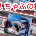 【ベネクス平塚】この形から返せる技術をお魅せします。#クレーンゲーム #クレゲ #ゲームセンター #ゲーセン #ufoキャッチャー #橋渡し