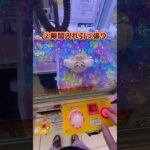 【永久保存版】クレーンゲーム攻略！　#クレーンゲーム #ufoキャッチャー #ゲームセンター
