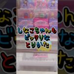 本当の大人はリスクも計算の内👺👍#クレーンゲーム #ufoキャッチャー #裏技