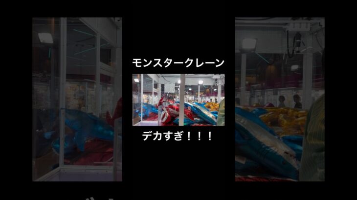 【ゲーセン】話題のでっかいクレーンゲーム#クレーンゲーム #クレーンゲーム動画 #クレーンゲーム攻略 #ufoキャッチャー