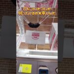 谷郷落とし #クレーンゲーム #ufoキャッチャー