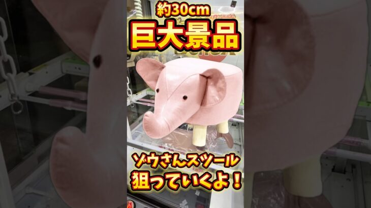 【フック設定】超巨大景品！ゾウさんスツール狙ってみた！#ベネクス #ベネクス川越 #ベネクス川越店 #ゾウ #スツール #アニマルスツール #フック #クレーンゲーム #クレゲ #ufoキャッチャー