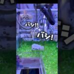 #プライズ獲得 #ちいかわ#新景品#アミューズメント限定 #クレーンゲーム #ゲームセンター #プライズ獲得 #クレゲ#ゲーセン#ufoキャッチャー