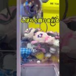 #ufoキャッチャー #キミとアイドルプリキュア #クレーンゲーム #5回でとれました#メロロン#作戦と攻略
