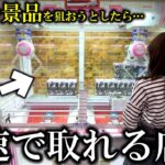 【クレーンゲーム】こんな事ある⁉︎大人気景品を狙おうとしたらエグすぎる展開になりました…【ufoキャッチャー】