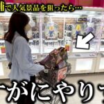 【クレーンゲーム】取れすぎ注意!?噂の店舗で人気景品を狙ったら店員も驚愕な展開が…【ufoキャッチャー】