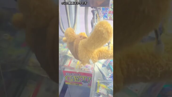 筐体内の景品取ったら出禁言われた#クレーンゲーム #ufoキャッチャー #clawmachine #ゲーセンの闇