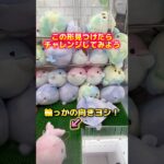 【そそる】この形を見るとやりたくなるよねぇ#クレーンゲーム#ufoキャッチャー #日本夾娃娃 #clawmachine#攻略#三本爪#short