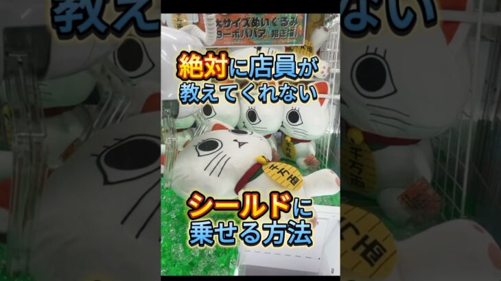 【クレーンゲーム】店員が教えてくれない意外な攻略方法‼︎ #おすすめ #ufoキャッチャー #クレーンゲーム #ゲームセンター #cranegame #ufocatcher