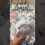 【裏技】ぬいぐるみを大量ゲットできるテクニック教えます！#クレーンゲーム #ufoキャッチャー #ゲームセンター #ちいかわ #japan #clawmachine #chiikuu #shorts