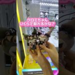 【クレーンゲーム】サンリオの人気景品が欲しい#ufoキャッチャー  #ゲームセンター  #ぬいぐるみ #shorts