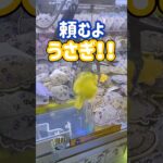 【ちいかわ】景品になってもうさぎはうさぎ　#クレーンゲーム #ufoキャッチャー #ちいかわ #shorts