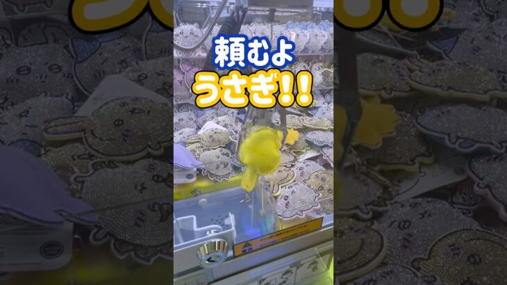 【ちいかわ】景品になってもうさぎはうさぎ　#クレーンゲーム #ufoキャッチャー #ちいかわ #shorts