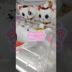 クレーンゲームチャレンジ #クレーンゲーム #クレゲー #ufoキャッチャー #ダンダダン #ターボババア #ぬいぐるみ #攻略 #クソだらぁ #オトノケ #taidada #shorts